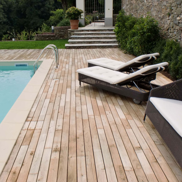 Edelkastanie Bioline Edelkastanie Bioline